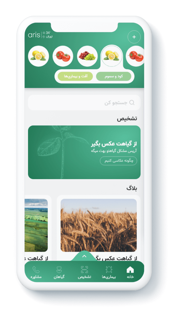 اریس
